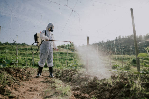 Pest Control Cost in Tyhee, ID