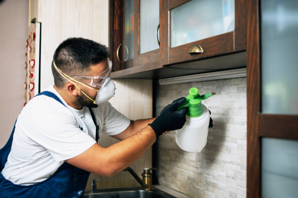 Pest Control Cost in Tyhee, ID