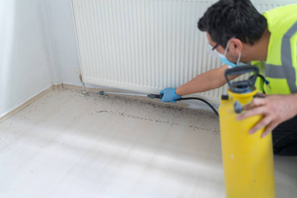 Best Pest Removal Services  in Tyhee, ID